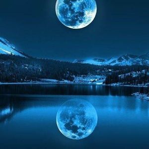 Meet your Posher, Pedro